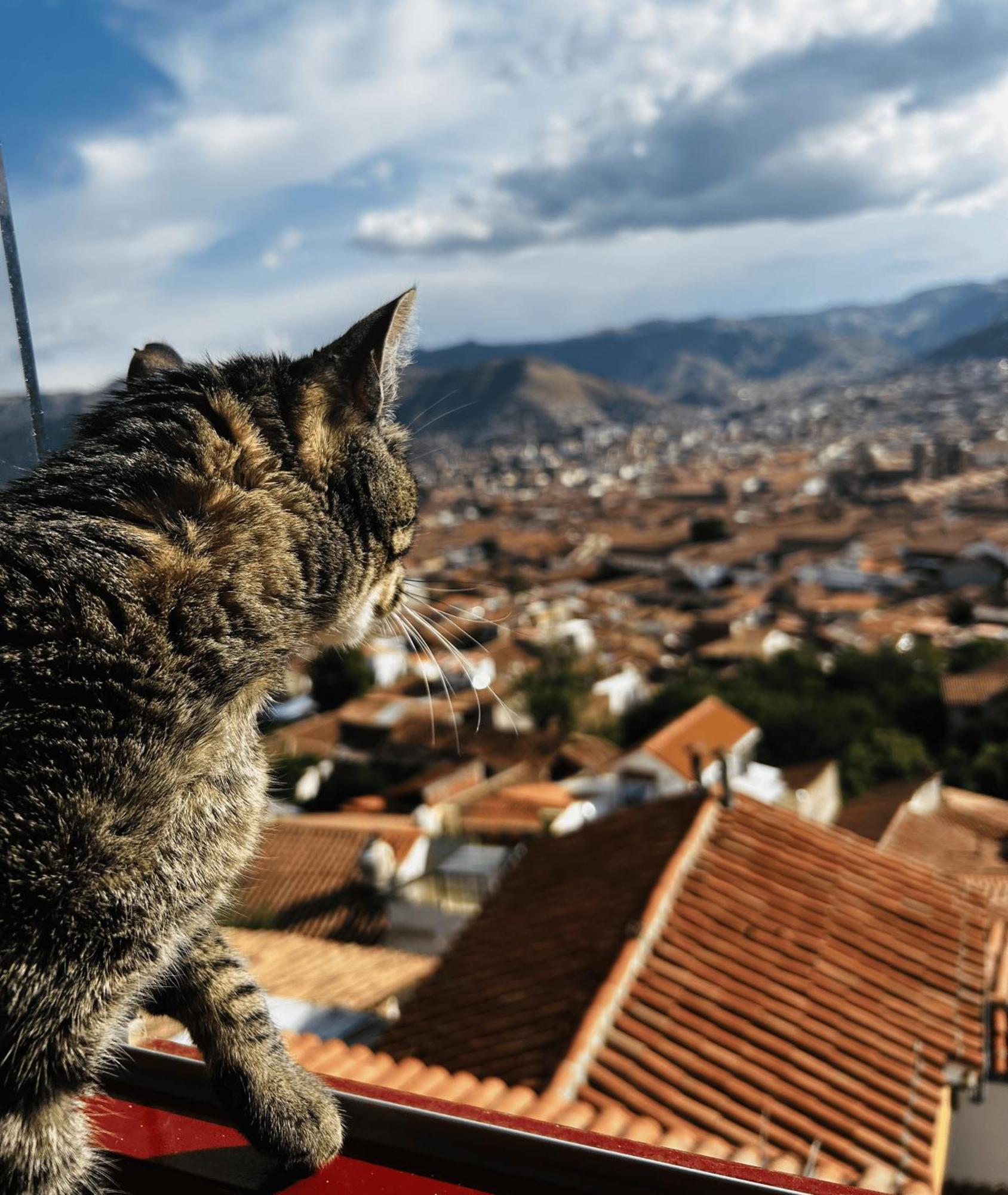 Summit Viewpoint House San Blas Cusco Exterior foto